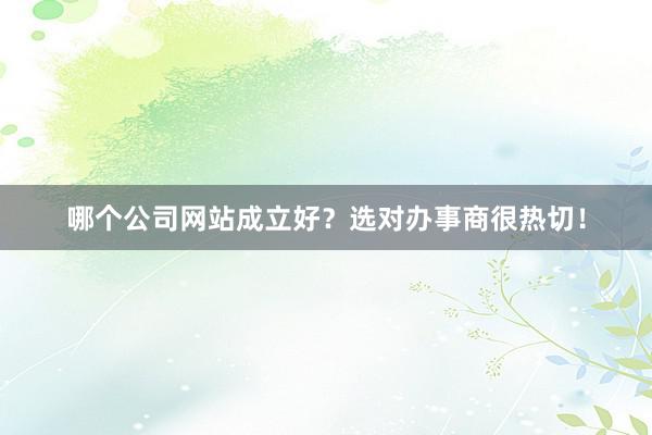 哪个公司网站成立好？选对办事商很热切！