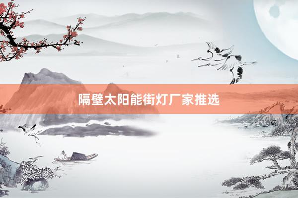 隔壁太阳能街灯厂家推选