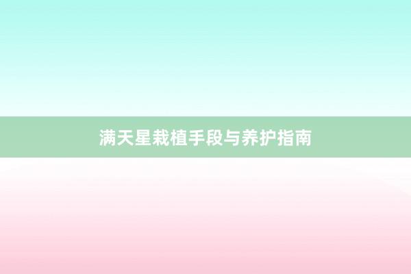 满天星栽植手段与养护指南