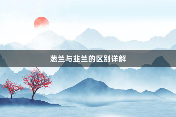 葱兰与韭兰的区别详解
