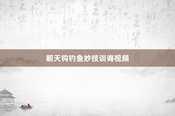 朝天钩钓鱼妙技训诲视频
