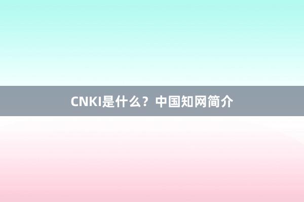 CNKI是什么？中国知网简介